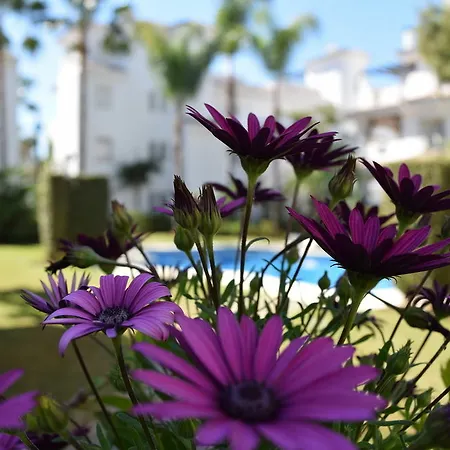 Y Casas Serinamar Marbella מלון El Ángel